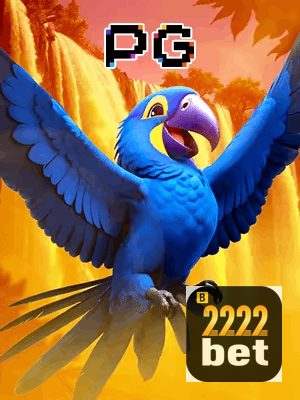 2222BET bônus — cashback 15 por cento e níveis VIP